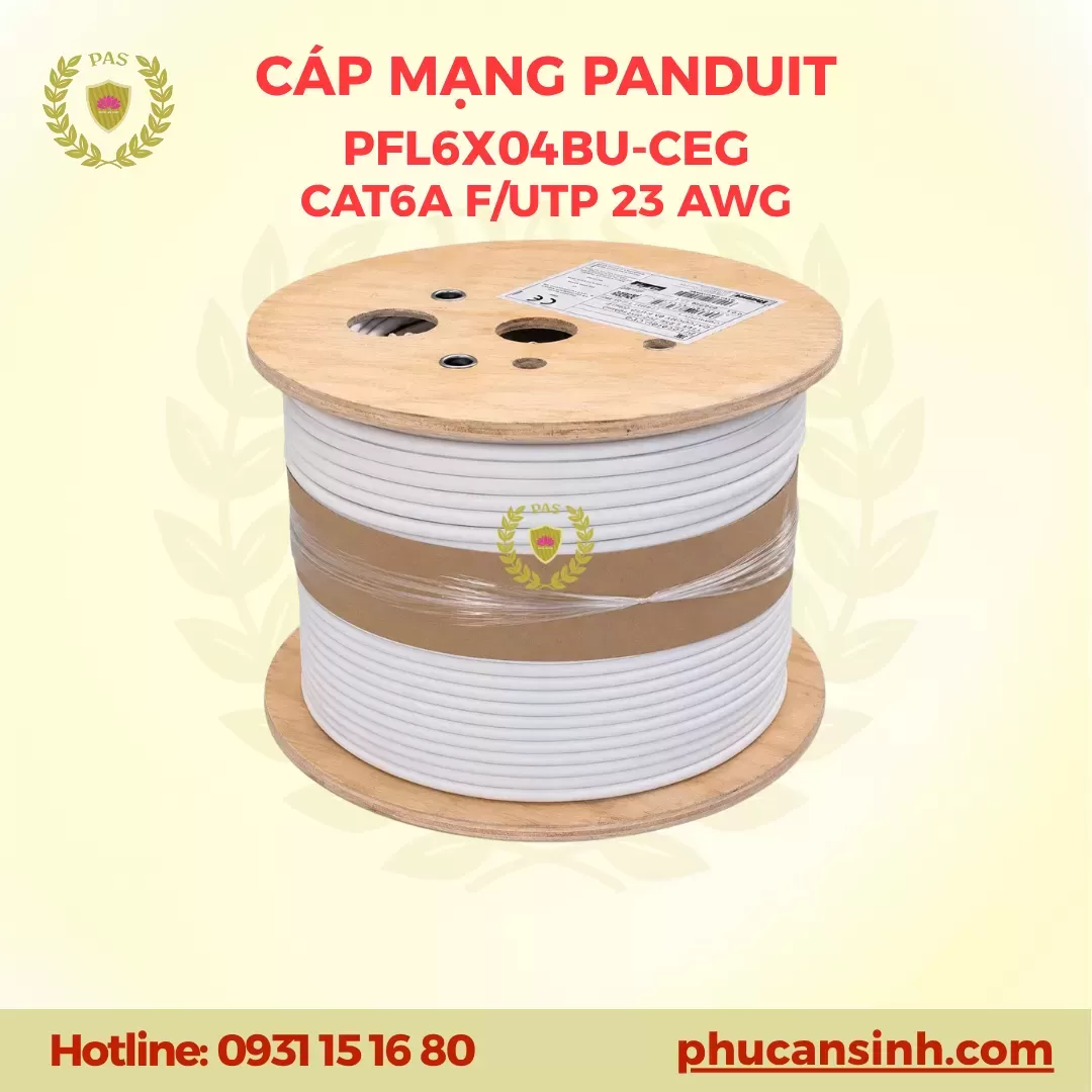 Cáp mạng máy vi tính CAT6A F/UTP 23 AWG 4 đôi dây Panduit PFL6X04BU-CEG