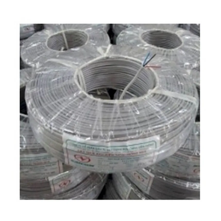 Cáp điện thoại Inside 10 đôi SAICOM 10x2x0.5