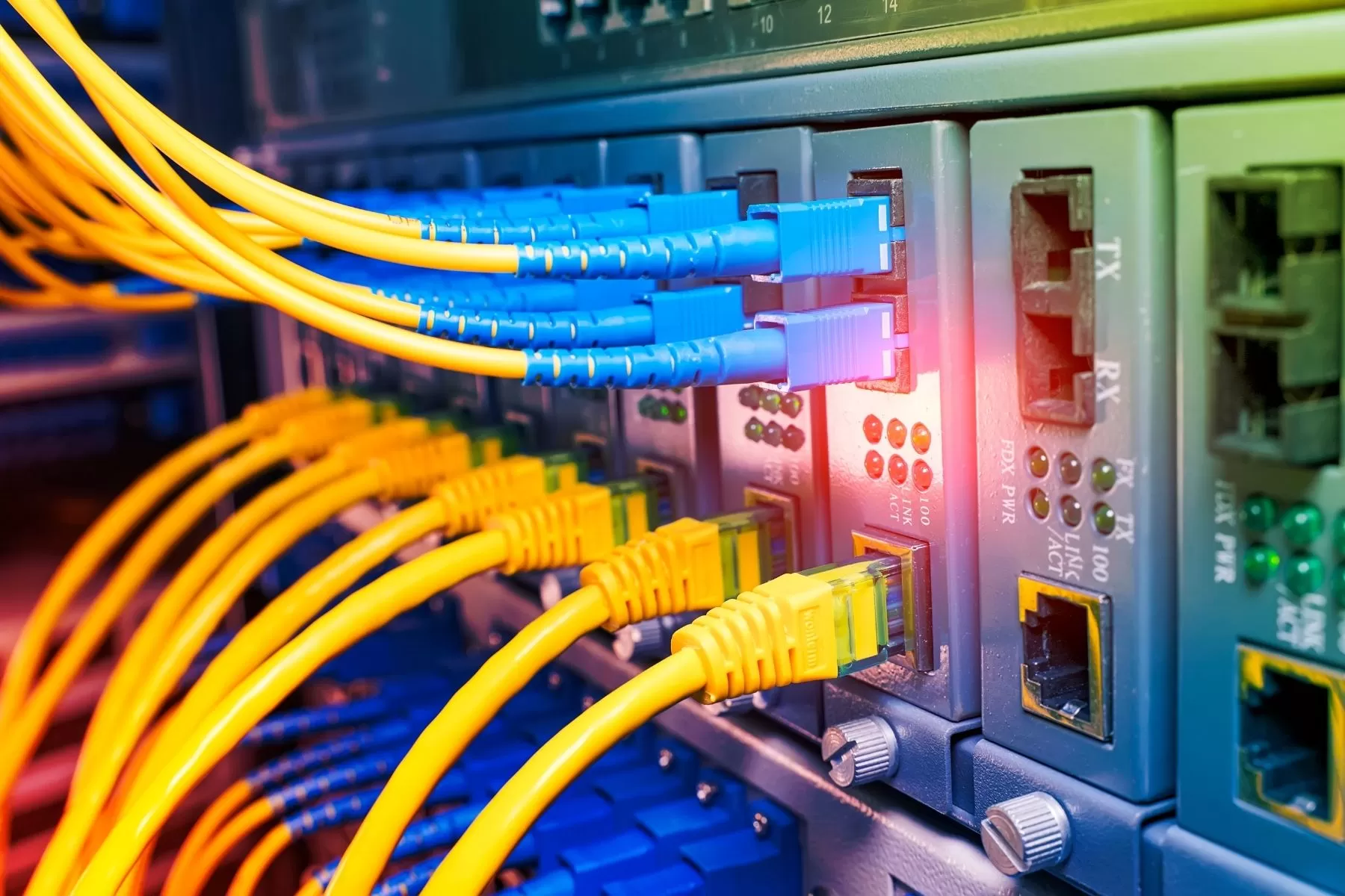 Cách Chọn Cáp Mạng Phù Hợp Cho Hệ Thống Mạng Văn Phòng