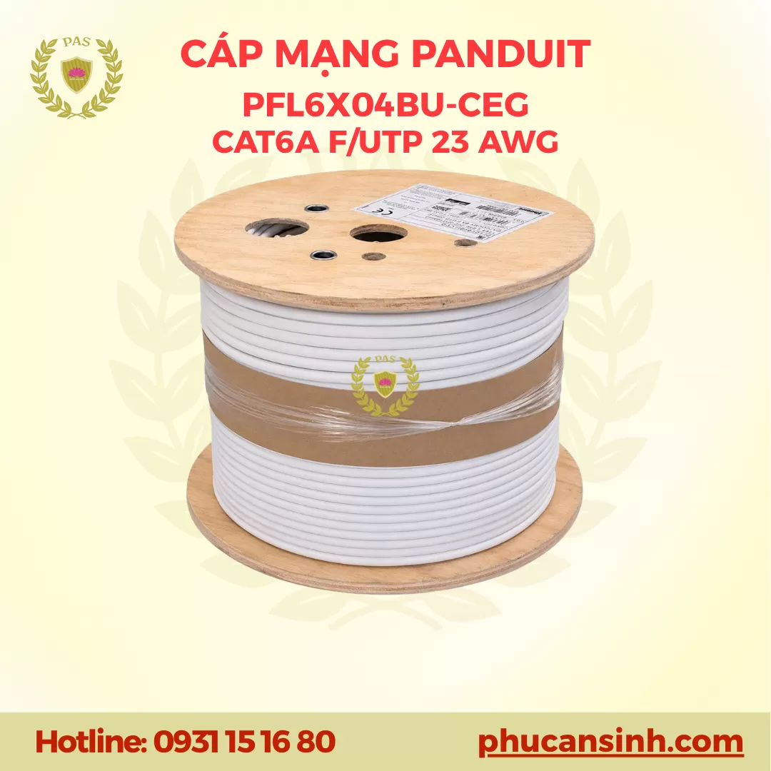 Cáp mạng máy vi tính CAT6A F/UTP 23 AWG 4 đôi dây Panduit PFL6X04BU-CEG