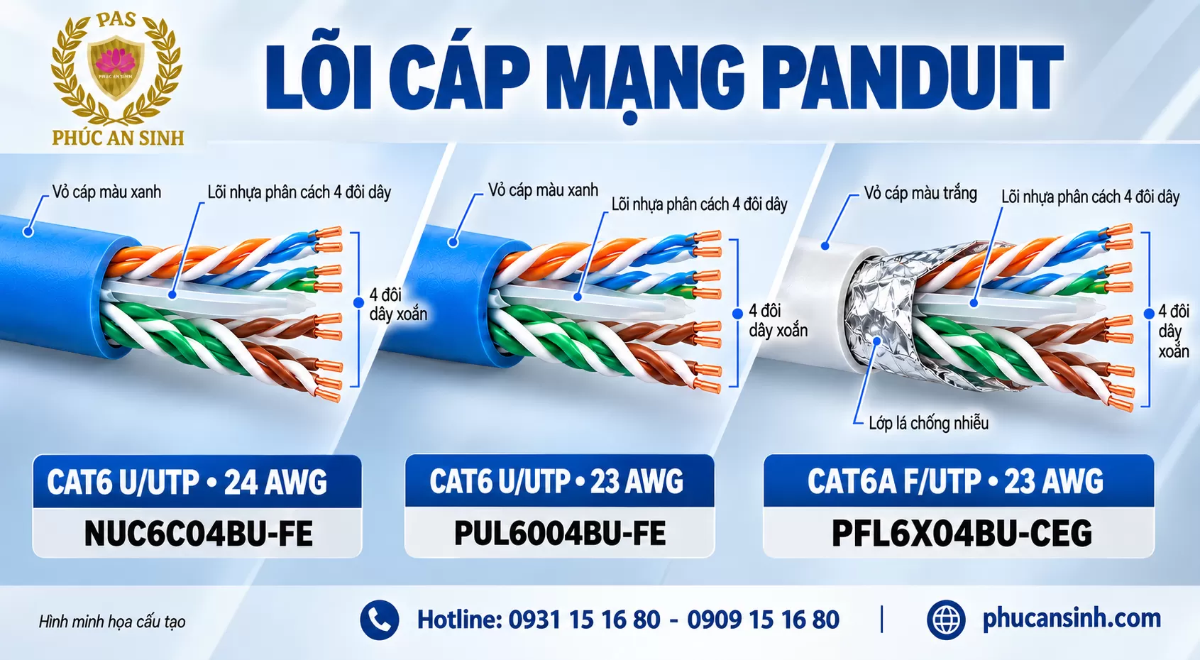 Cách Bấm Dây Mạng Panduit Chuẩn T568A/T568B – Hướng Dẫn Thi Công Và Kiểm Tra
