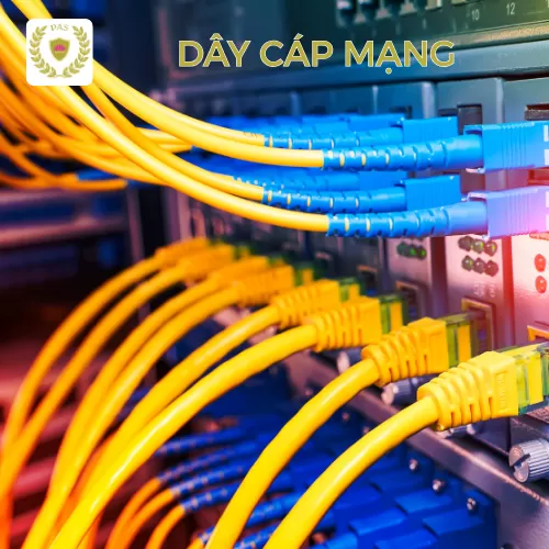 Dây cáp mạng