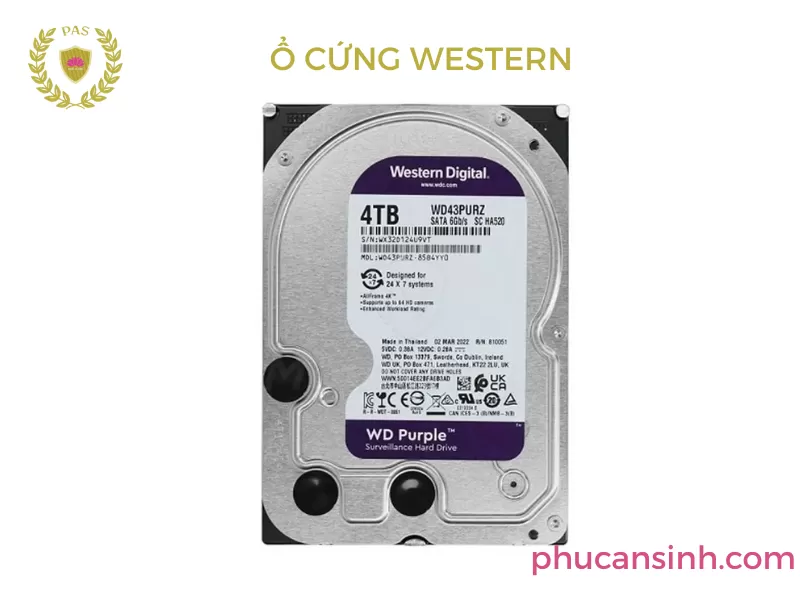 Ổ cứng WESTERN