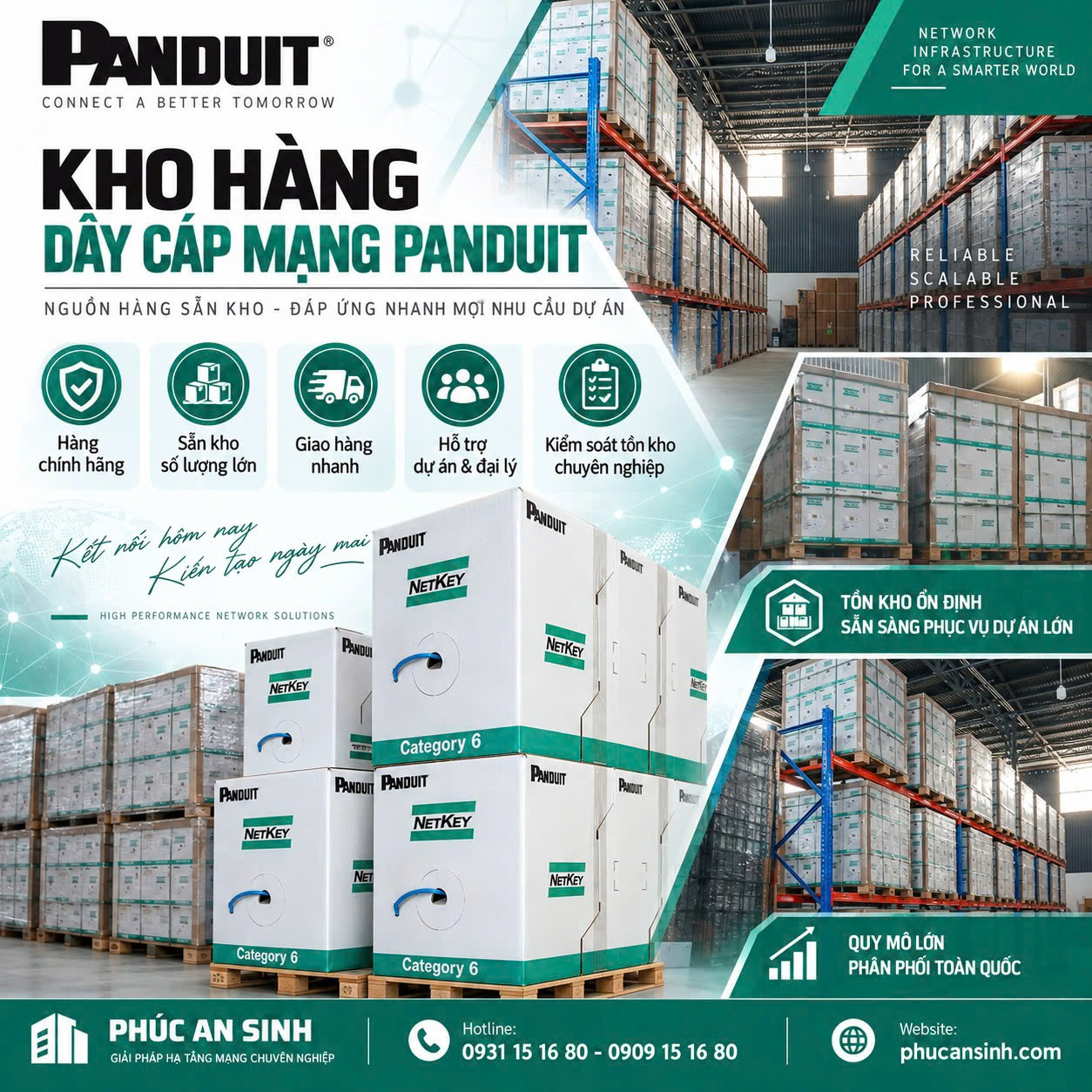 Hình Cap Cat6 Panduit