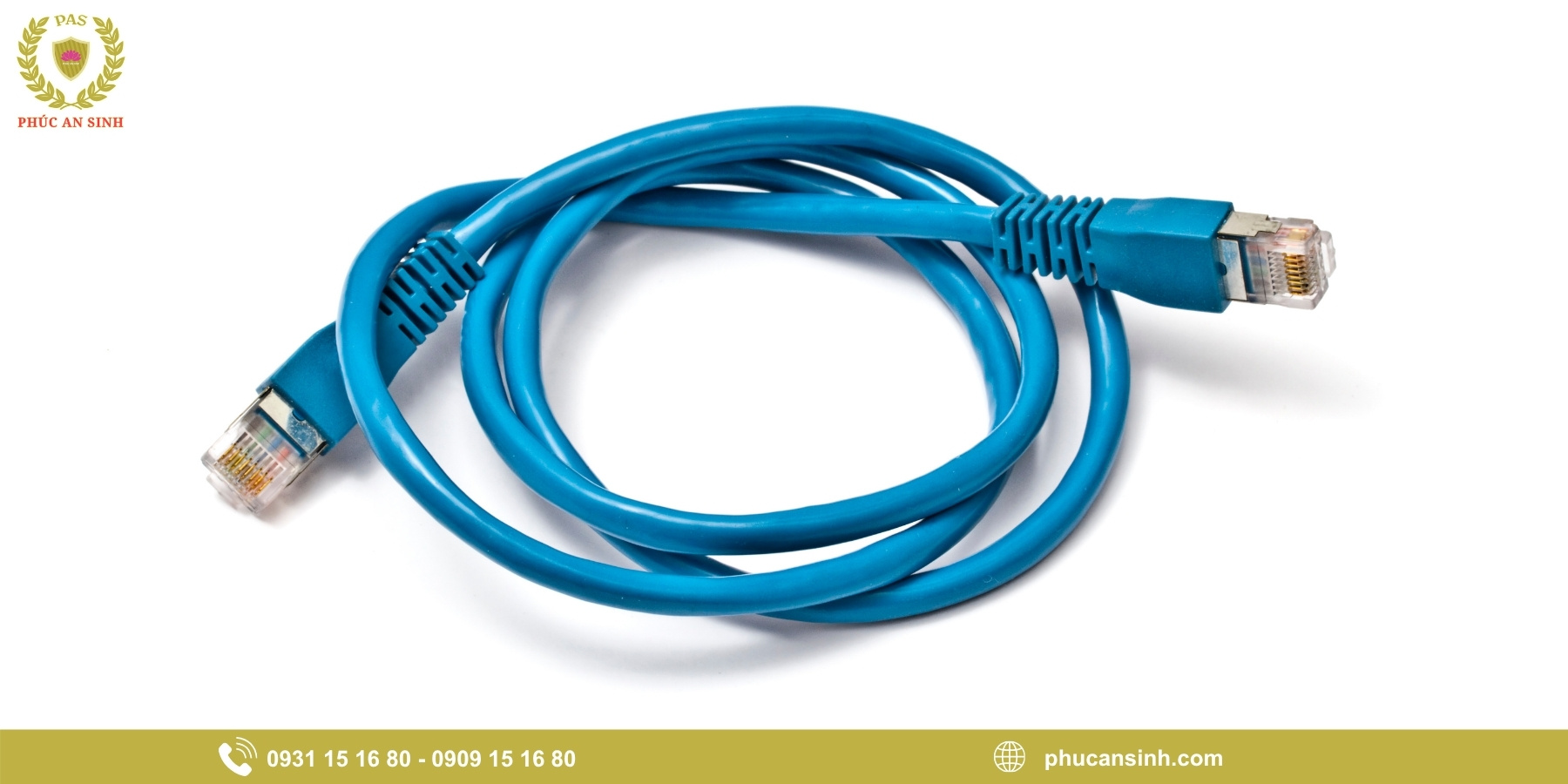 Các loại dây cáp mạng PANDUIT phổ biến
