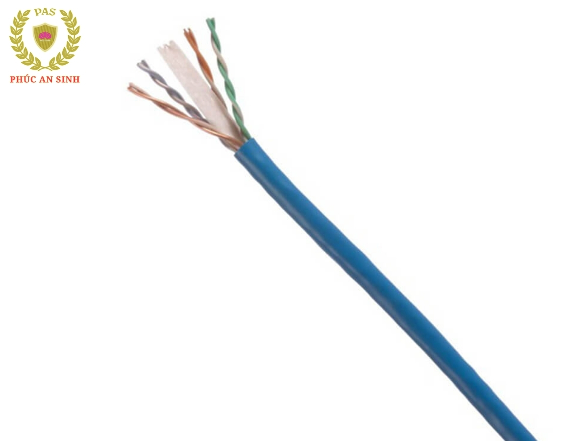 Cấu tạo và tính năng nổi bật của Cáp mạng Cat6 U/UTP 24AWG Panduit NUC6C04BU-FE