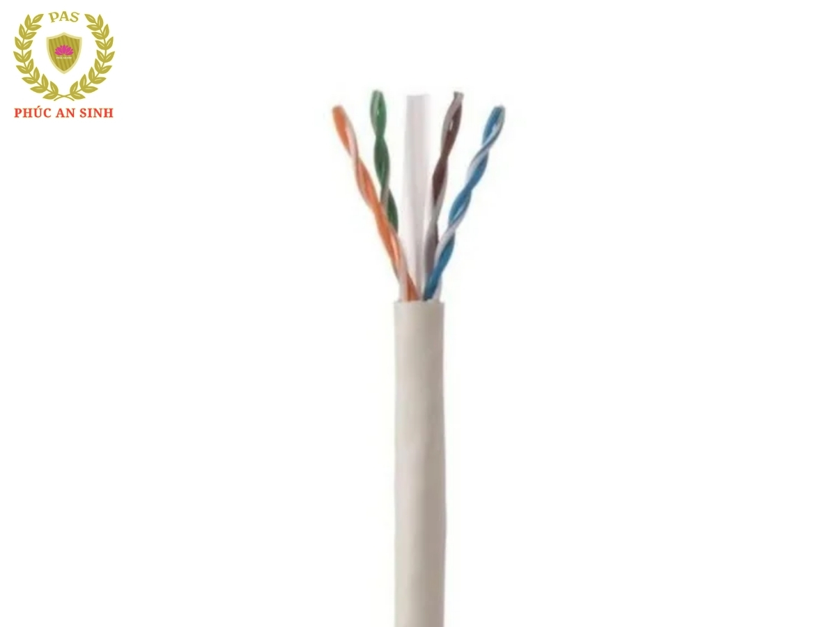 Thông số kỹ thuật Cáp mạng máy vi tính CAT6A FUTP 23 AWG 4 đôi dây Panduit PFL6X04BU-CEG