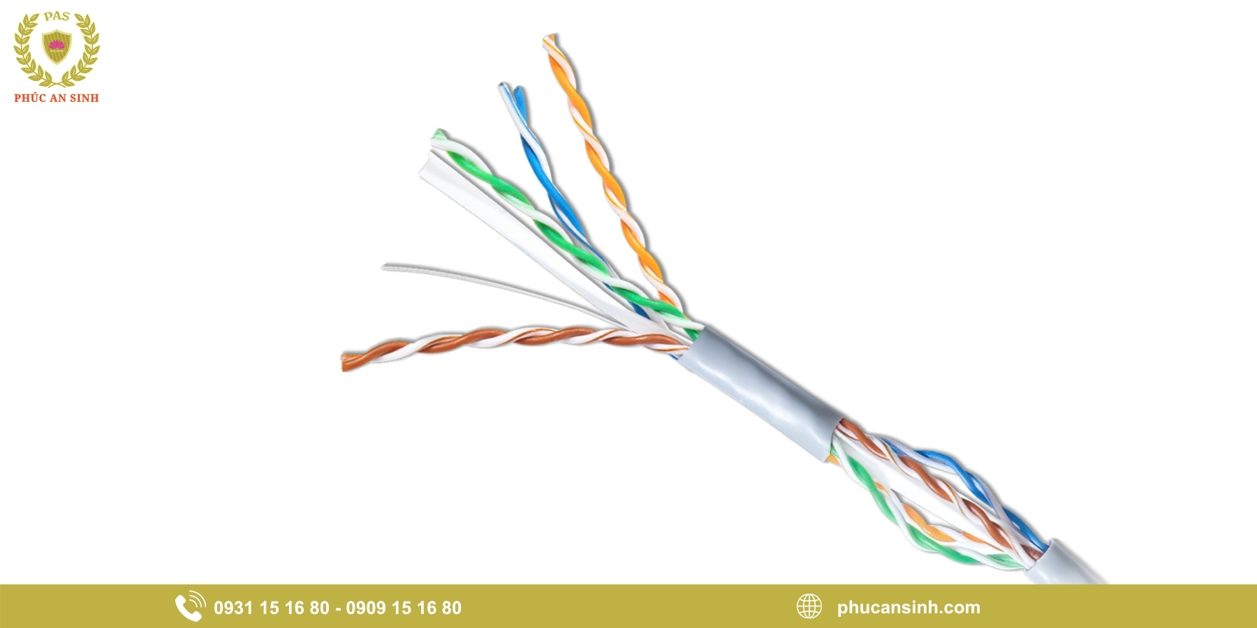 Dây cáp mạng Cat6
