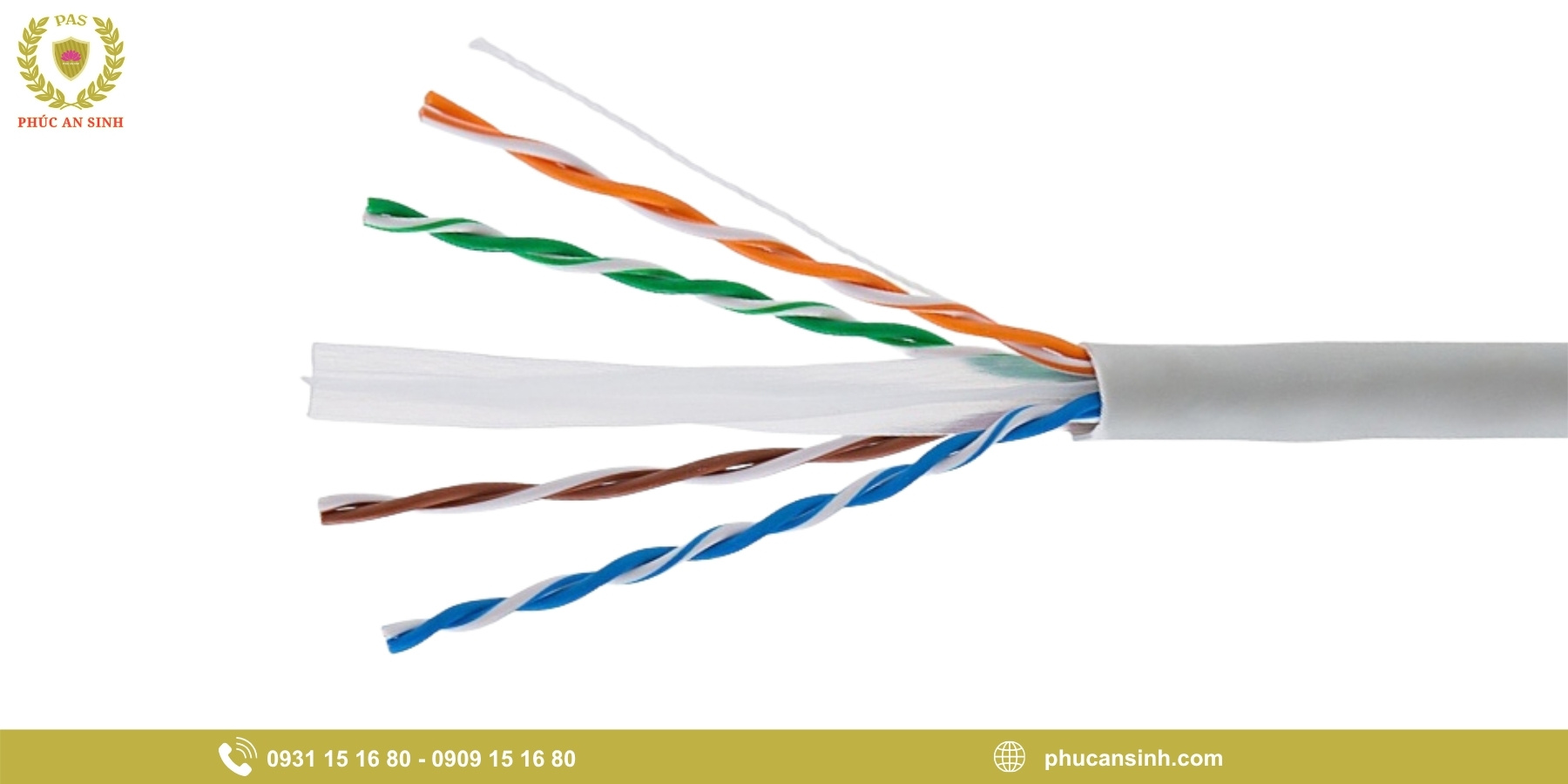 Dây cáp mạng Cat6A