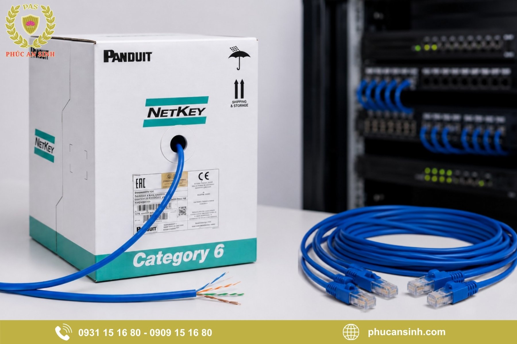 Khi nào nên chọn cáp mạng PANDUIT cho hệ thống mạng?