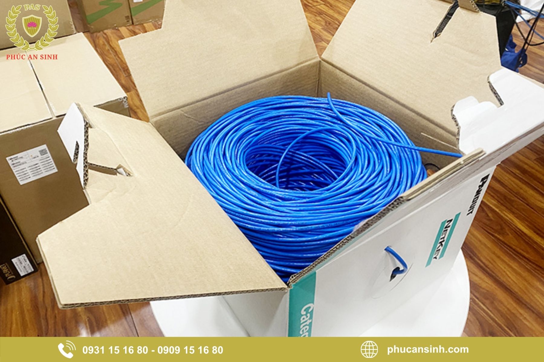 Review cáp mạng PANDUIT qua góc nhìn thi công thực tế